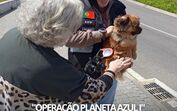 Operação Planeta Azul. PSP resgata 31 animais e deteta mais de 50 infrações ambientais