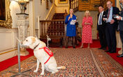 Estes cães conseguem identificar cancro pelo olfato. E impressionaram a Rainha Camilla