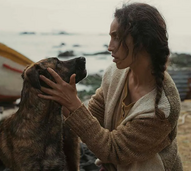 Yuri, a cadela resgatada que conquistou Cannes, vence prémio Palm Dog