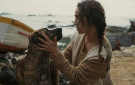 Das ruas do Chile para a passadeira vermelha de Cannes: a história de Yuri, a cadela que conquistou um prémio histórico no famoso festival de cinema