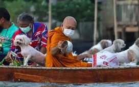 O monge e a sua "tripulação" de quatro patas: a história do barco que está a emocionar o mundo