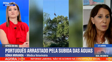 A análise impressionante da especialista Sónia Miranda ao ataque de crocodilo a empresário português na África do Sul