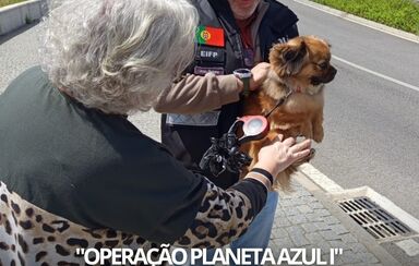 Operação Planeta Azul. PSP resgata 31 animais e deteta mais de 50 infrações ambientais