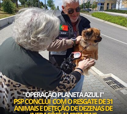 Estavam em risco e a PSP chegou a tempo: 31 animais resgatados em operação nacional
