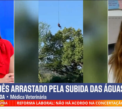 A análise impressionante da especialista Sónia Miranda ao ataque de crocodilo a empresário português na África do Sul