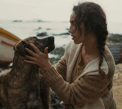 Das ruas do Chile para a passadeira vermelha de Cannes: a história de Yuri, a cadela que conquistou um prémio histórico no famoso festival de cinema