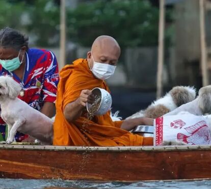 O monge e a sua 'tripulação' de quatro patas: a história do barco que está a emocionar o mundo