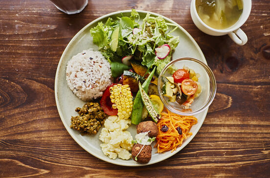 Cozinha plant-based diversificada e saborosa em destaque