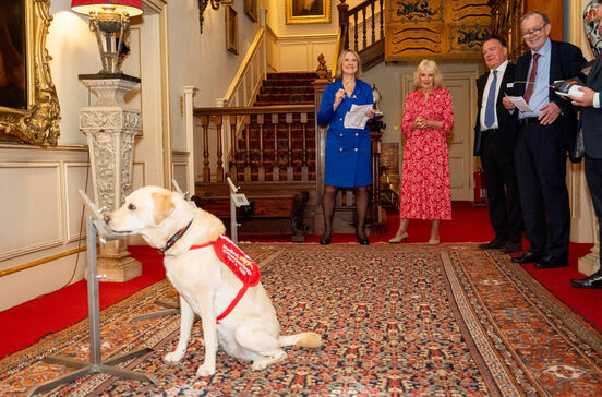 Estes cães conseguem identificar cancro pelo olfato. E impressionaram a Rainha Camilla