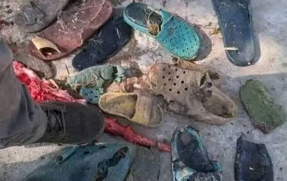 Dentro do crocodilo foram encontrados também 6 pares de sapatos