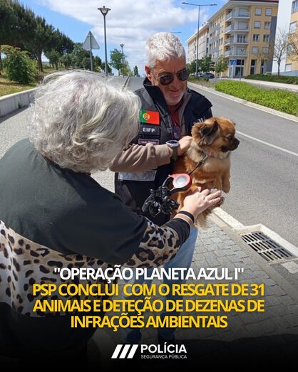Operação Planeta Azul. PSP resgata 31 animais e deteta mais de 50 infrações ambientais