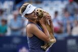Massagens, passeadores e passe VIP: a vida de luxo dos cães dos tenistas em Roland Garros