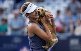 Massagens, passeadores e passe VIP: a vida de luxo dos cães dos tenistas em Roland Garros