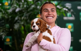 Depois dos animais terem sido permitido em Roland Garros, torneio de Wimbledon dá um passo atrás e recusa entrada de patudos