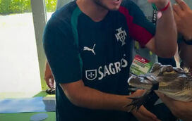 Nada mete medo a João Neves! Jogador agarra em pequeno jacaré 