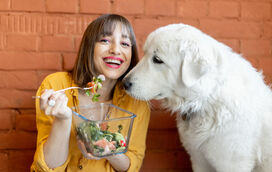 Nem tudo o que é saudável pode ser dados aos animais! Atenção: está proibido de partilhar estes 5 alimentos com o seu pet