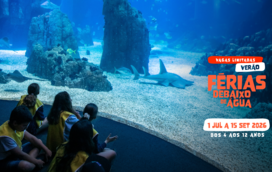 O seu filho é fã de animais marinhos? O Campo de Férias do Oceanário de Lisboa está de volta! 