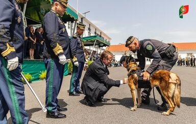 Depois de arriscar a vida em serviço, Vulcão é distinguido com medalha de mérito
