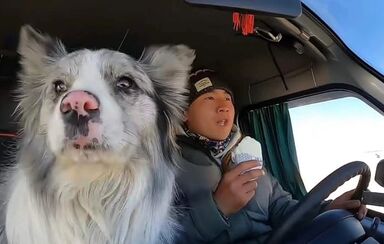 O cão influencer Chutou