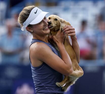 Massagens, passeadores e passe VIP: a vida de luxo dos cães dos tenistas em Roland Garros