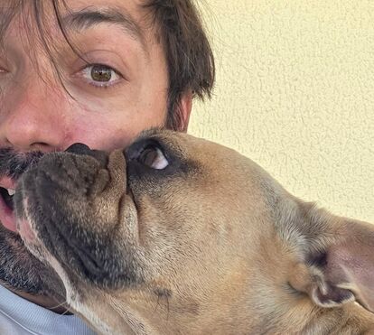 Parabéns ao Trekkie: veja as fotografias mais fofas do cão de Diogo Valsassina no dia do seu aniversário
