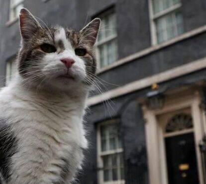 Reino Unido muda de Primeiro-Ministro mas o Chief Mouser mantém-se. Gato Larry continua em Downing Street