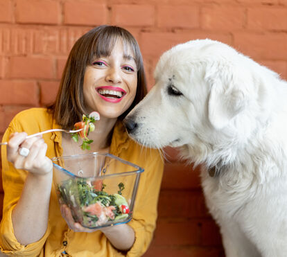 Nem tudo o que é saudável pode ser dados aos animais! Atenção: está proibido de partilhar estes 5 alimentos com o seu pet