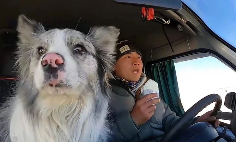 O cão influencer Chutou