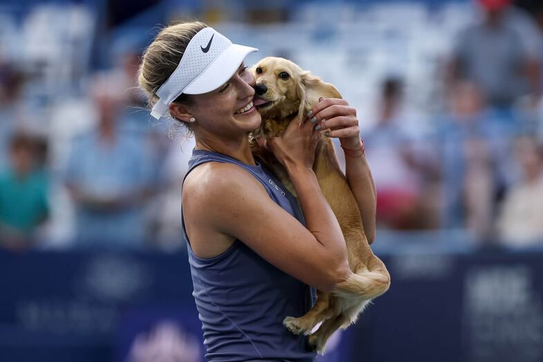 Raquetes, troféus e patinhas. Conheça os cães que estão a fazer furor nos Grand Slams de ténis