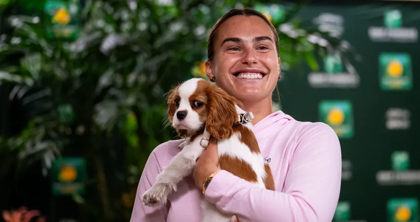 Parece que nem todos os torneios são pet-friendly. Ao contrário do Roland Garros, Wimbledon vai manter a tradição sem animais