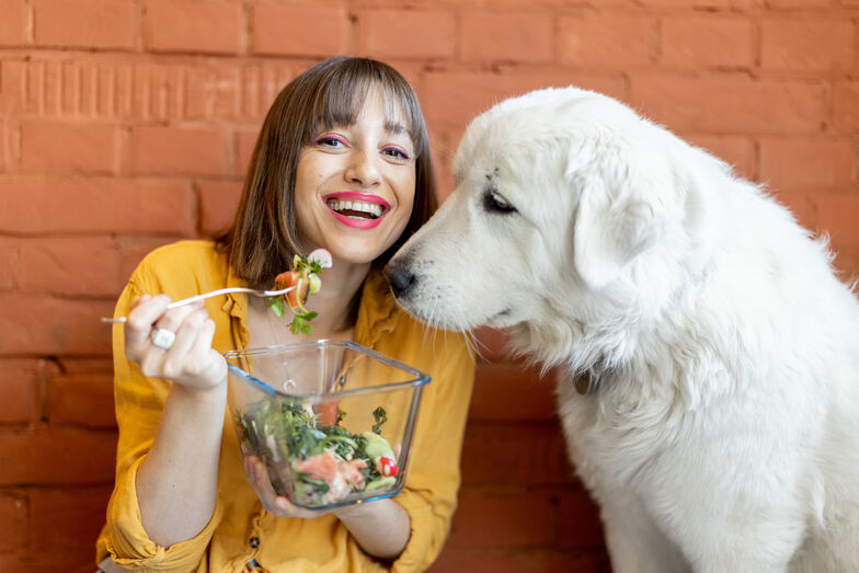 O verão é sinónimo de saladas e fruta fresca. Mas atenção! Estes 5 são proibidos para partilhar com o seu pet 