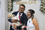 Adeus padrinhos humanos! Animais de estimação já servem de testemunhas em casamentos civis