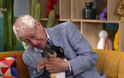 Em lágrimas, idoso é obrigado a entregar o companheiro de quatro patas para adoção. Conheça a história de César e Curro