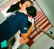 Banho, escova e… uma nova vida. Conheça o "Cãobeleireiro" que está a transformar as vidas de cães para adoção
