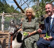 Rodeada de lémures, Rainha Camilla volta a mostrar o seu amor pelos animais