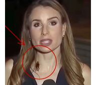 Rachel Menitoff 