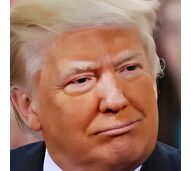 Donald Trump, Kai Trump