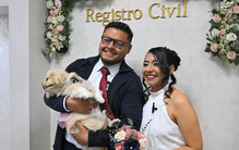 Até que a morte os separe! No Equador, cães e gatos já podem ser "testemunhas" dos casamentos civis