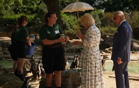 Carlos III e Camila visitam zoo de Londres em data especial