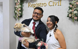 Adeus padrinhos humanos! Animais de estimação já servem de testemunhas em casamentos civis