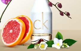 Se há perfumes perfeitos para o verão, este Calvin Klein é 'o tal'