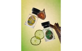 Os perfumistas do futuro assinam as novas fragrâncias Oriflame 