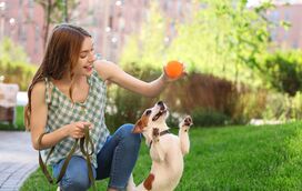 Mais do que apenas diversão: as 6 razões pelas quais brincar com o seu animal pode salvar-lhe a vida