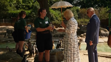 Carlos III e Camila visitam zoo de Londres em data especial