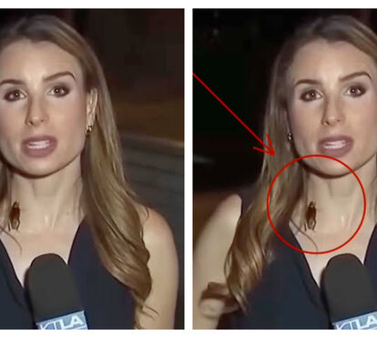 Barata sobe-lhe ao pescoço durante direto... e a reação da jornalista é completamente inesperada