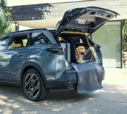 Imagina um carro totalmente equipa e preparado para o seu cão? Há uma marca que tem uma proposta e é fascinante!
