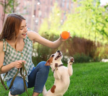 Mais do que apenas diversão: as 6 razões pelas quais brincar com o seu animal pode salvar-lhe a vida