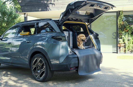 Como seria um carro pensado por um cão? A Peugeot tem a resposta