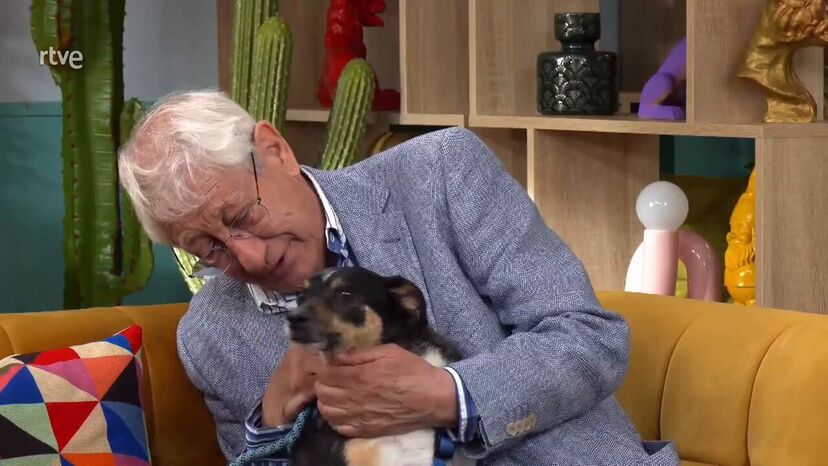 Em lágrimas, idoso é obrigado a entregar o companheiro de quatro patas para adoção. Conheça a história de César e Curro