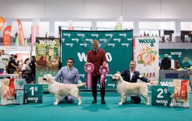 Atenção, fãs de animais! A Expo Braga está de volta já em outro... e já há data marcada